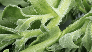 End-of-summer tips to soak up the season with Kathy Buccio