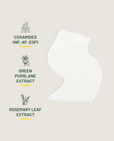 Key ingredients: Ceramides (NP, AP, EOP), Green Purslane Extract, Rosemary Leaf Extract